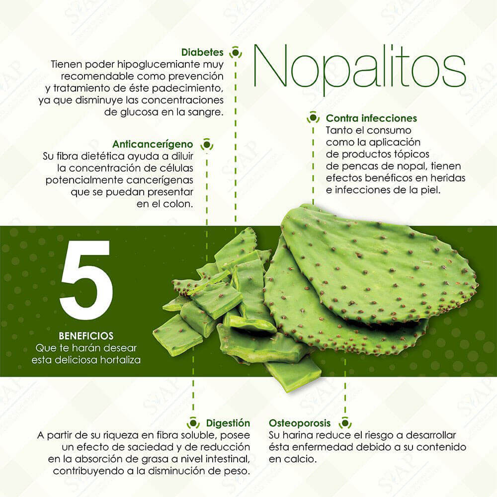 nopales europa