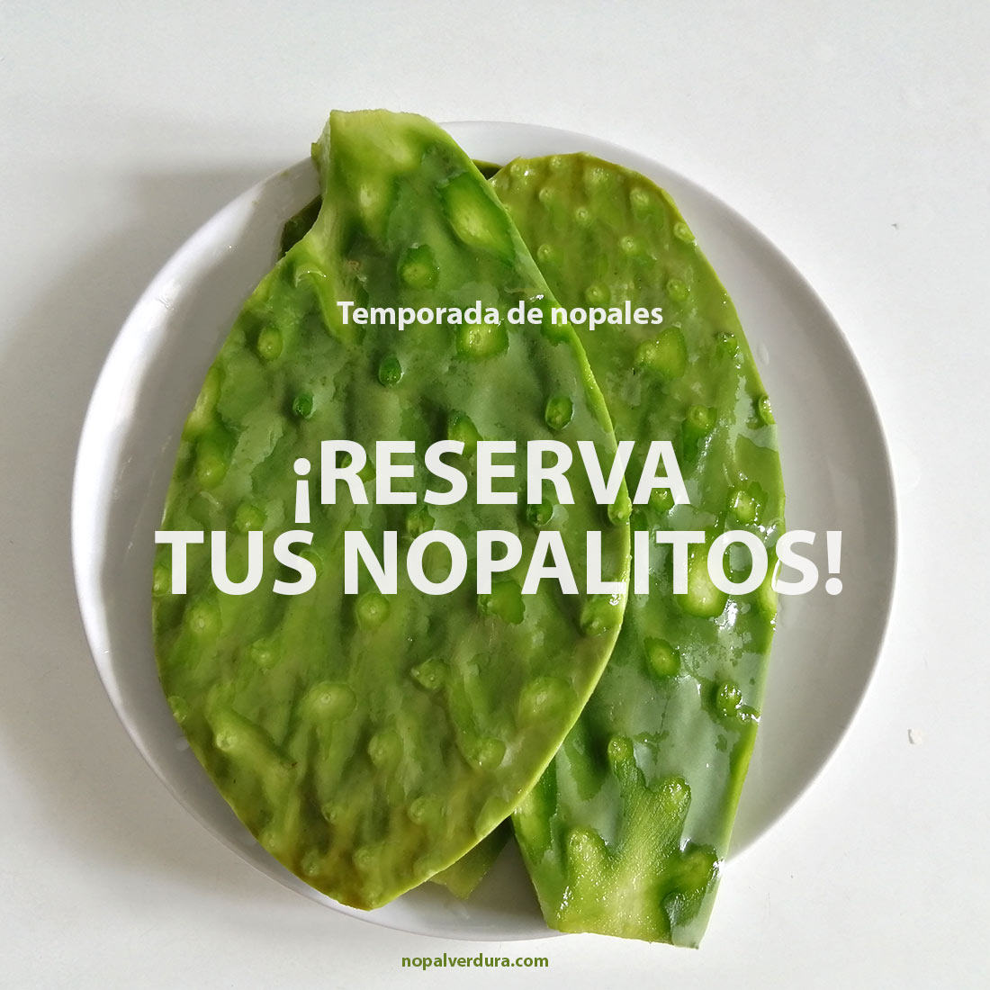 reserva ya tus nopales frescos España/Europa